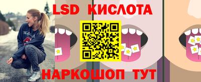 мет Кингисепп