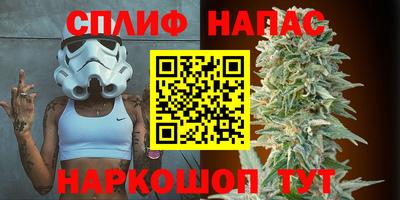 мет Кингисепп