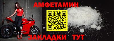 мет Кингисепп