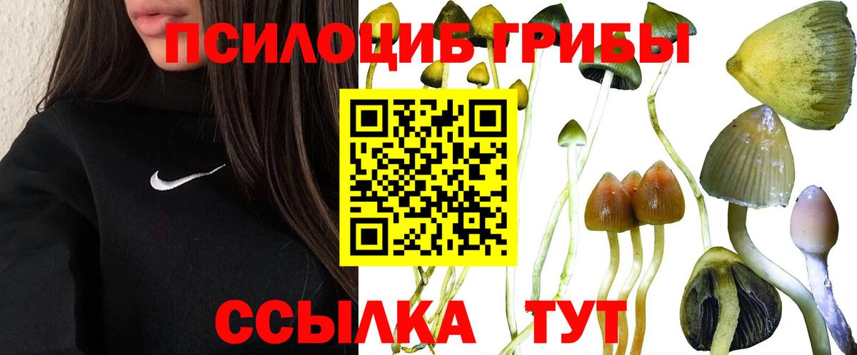 наркотики  Вход с VPN  Коркино  Псилоцибиновые грибы Psilocybine cubensis 